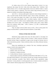 Pinigai, jų funkcijos ir istorinė raida 11 puslapis