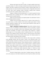 Pinigai, jų funkcijos ir istorinė raida 13 puslapis