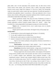 Pinigai, jų funkcijos ir istorinė raida 7 puslapis