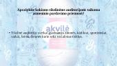 X įmonės rėmimo komplekso analizė 4 puslapis
