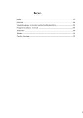 Pinigų kūrimas bankų sistemoje 2 puslapis