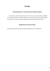 Pinigų kūrimas bankų sistemoje 11 puslapis