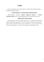 Pinigų kūrimas bankų sistemoje 3 puslapis