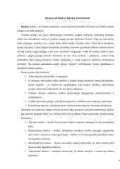 Pinigų kūrimas bankų sistemoje 6 puslapis