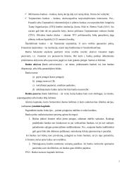 Pinigų kūrimas bankų sistemoje 7 puslapis