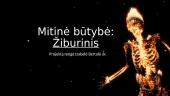 Mitinė būtybė: Žiburinis
