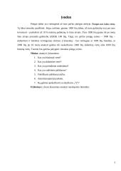 Pinigų laiko vertė 3 puslapis