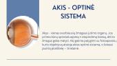 Akies optinė sistema, jos sandara 3 puslapis