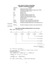 Pinigų srautų laiko vertė 9 puslapis