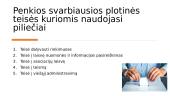 Konstitucinės piliečio teisės ir pareigos 3 puslapis