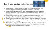 Konstitucinės piliečio teisės ir pareigos 6 puslapis