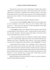 Pinigų plovimo esminiai bruožai 3 puslapis