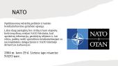 Tarptautinės organizacijos ir Lietuva 2 puslapis