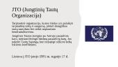 Tarptautinės organizacijos ir Lietuva 4 puslapis