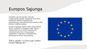 Tarptautinės organizacijos ir Lietuva 5 puslapis