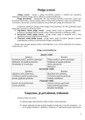 Pinigų srautai - įplaukos ir išplaukos 2 puslapis