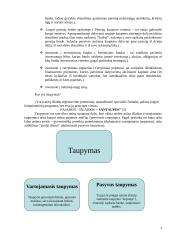 Pinigų srautai - įplaukos ir išplaukos 3 puslapis