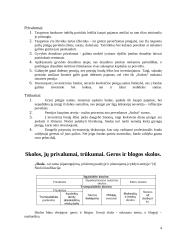 Pinigų srautai - įplaukos ir išplaukos 4 puslapis