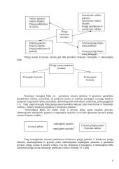 Pinigų srautai - įplaukos ir išplaukos 6 puslapis