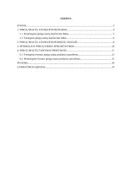 Kompanijos pinigų srautų ataskaita 2 puslapis