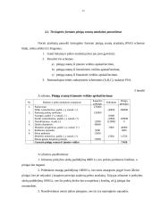 Kompanijos pinigų srautų ataskaita 12 puslapis