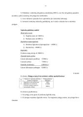 Kompanijos pinigų srautų ataskaita 13 puslapis