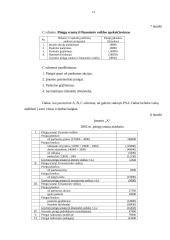 Kompanijos pinigų srautų ataskaita 14 puslapis