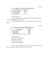 Kompanijos pinigų srautų ataskaita 16 puslapis