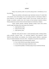 Kompanijos pinigų srautų ataskaita 3 puslapis