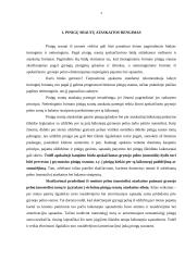 Kompanijos pinigų srautų ataskaita 4 puslapis