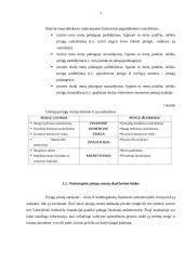 Kompanijos pinigų srautų ataskaita 5 puslapis