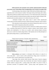 Kompanijos pinigų srautų ataskaita 7 puslapis