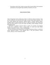 Pirkėjų tipai 7 puslapis