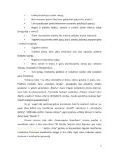 Pirmieji skraidymo aparatų projektai ir modeliai nuo seniausiųjų laikų iki XIX amžiaus 4 puslapis