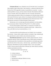 Pjezoelektriniai filtrai 2 puslapis