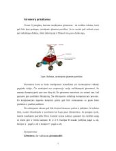 Pjezoelektriniai filtrai 4 puslapis