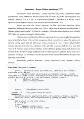 Maksimalaus srauto algoritmo sudėtingumas 2 puslapis