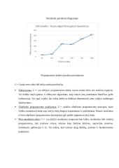 Maksimalaus srauto algoritmo sudėtingumas 4 puslapis