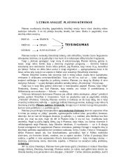 Platono etika 6 puslapis