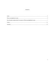 Platono imitacijos teorija, kaip P. Bourdieu medijų teorijos ištakos 2 puslapis