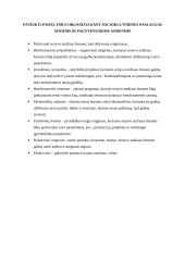 Sociokultūrinių paslaugų seniems ir pagyvenusiems asmenims organizavimo planas 3 puslapis