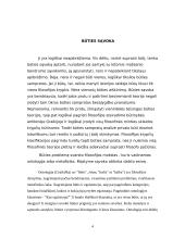 Platono ontologija 4 puslapis