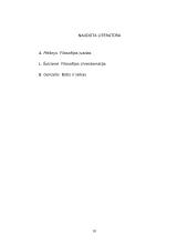 Platono ontologija 10 puslapis