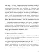 Plaukiojantys valiutų kursai 13 puslapis