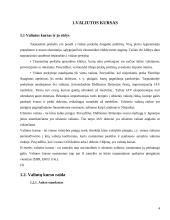 Plaukiojantys valiutų kursai 4 puslapis