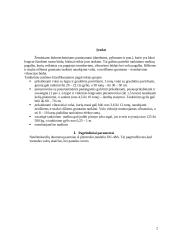 Plentvolis 2 puslapis