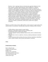 Demokratijos ir diktatūros privalumai ir trūkumai Antrojo pasaulinio karo metu 2 puslapis