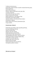 Demokratijos ir diktatūros privalumai ir trūkumai Antrojo pasaulinio karo metu 3 puslapis