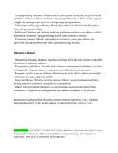 Demokratijos ir diktatūros privalumai ir trūkumai Antrojo pasaulinio karo metu 4 puslapis