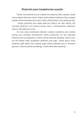 Plunžerinė pora 12 puslapis